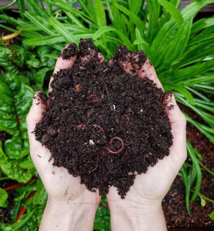soil compos