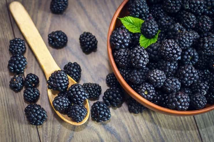 blackberry fruit 1