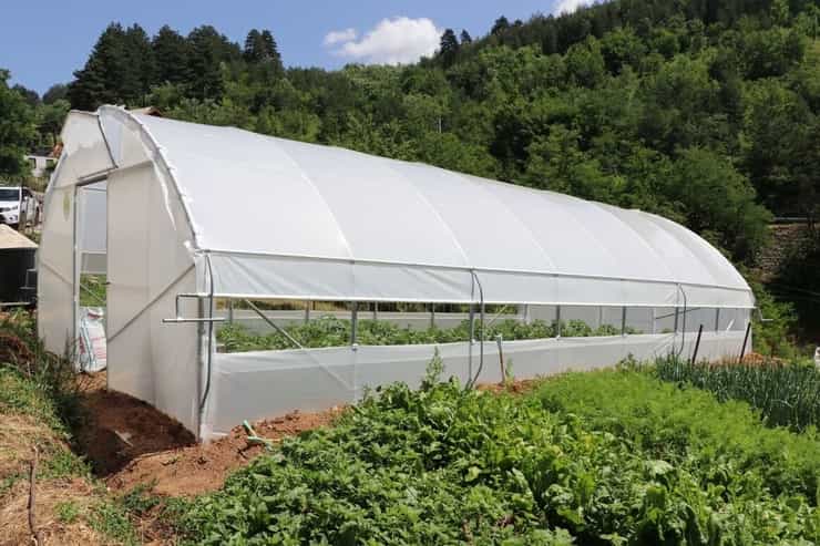 greenhouse220625022 3 xxl