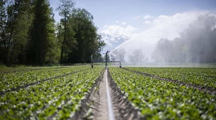 irrigation navodnjavanje foto gian ehrenz