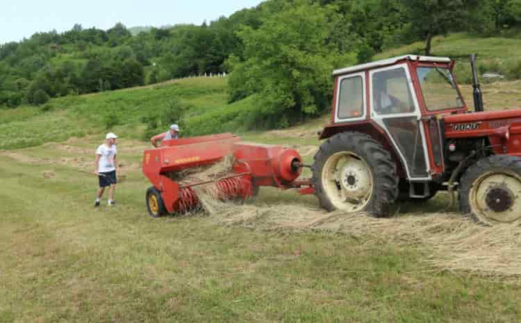 sandzicfarmerpoljop min