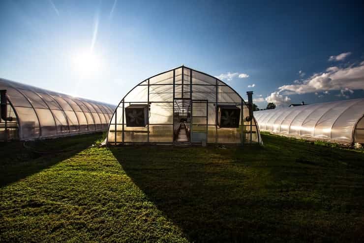 GreenhouseAgriculture