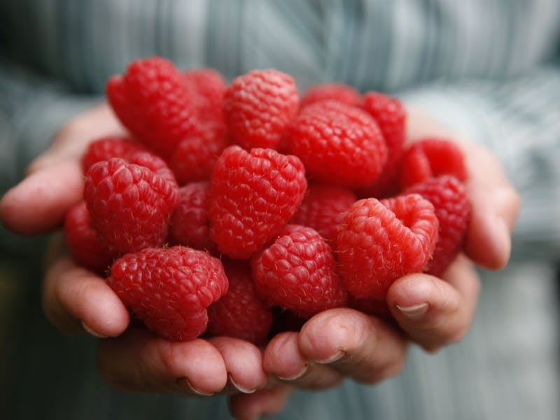 raspberries